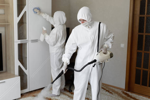 Best Professional Mold Removal  in Harrison, NJ
