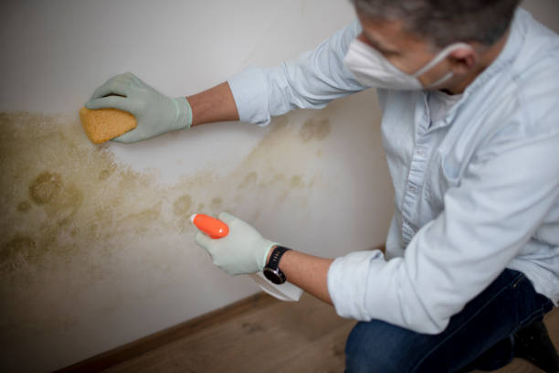 Water Damage Restoration in Harrison, NJ